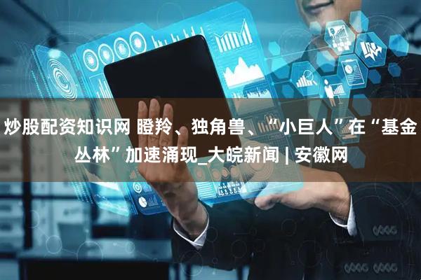 炒股配资知识网 瞪羚、独角兽、“小巨人”在“基金丛林”加速涌现_大皖新闻 | 安徽网