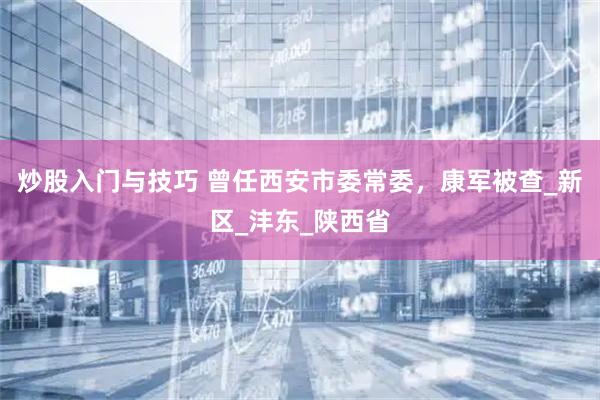 炒股入门与技巧 曾任西安市委常委，康军被查_新区_沣东_陕西省