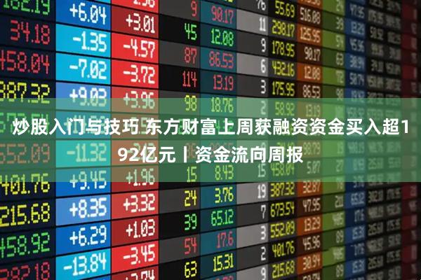 炒股入门与技巧 东方财富上周获融资资金买入超192亿元丨资金流向周报